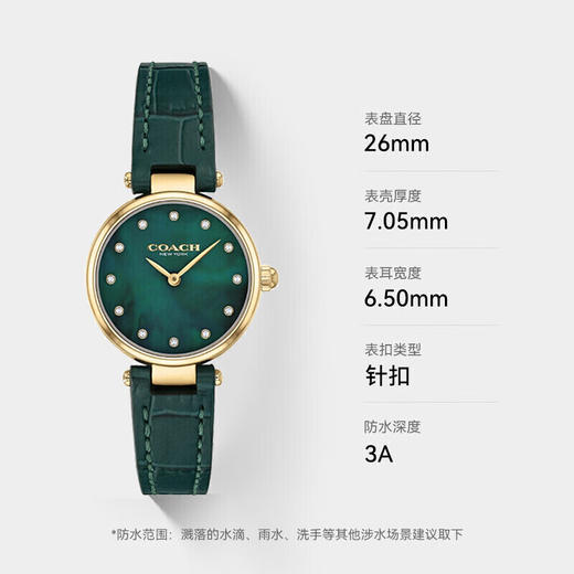 COACH蔻驰带钻小绿表 商品图3