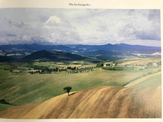 米开朗基罗 数百幅插图 精装大16开 商品图12