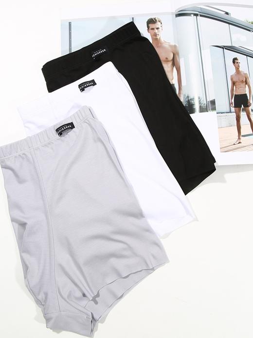 【超细莫代尔】SCHIESSER舒雅内裤男铂雅超细莫代尔无痕随型裁简约纯色平角裤95/18658T 商品图3