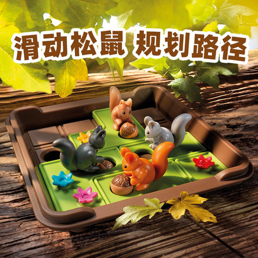 比利时 Smart Games Squirrels Go Nuts 疯狂松鼠 6+ SG 425 商品图8