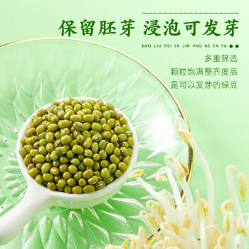 十月稻田 绿豆 5斤 可发豆芽 打豆浆 东北五谷杂粮 粗粮 大米伴侣 商品图2