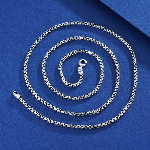 子佩集S925银【蛇骨】项链【YFXL024-28】搭配链2304 商品图5