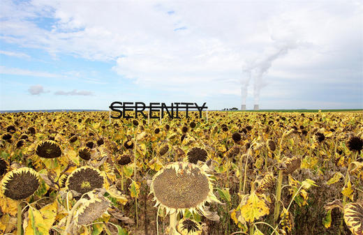 Rero / 雷罗 商品图4