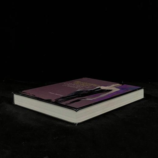 时尚插画：从概念到创作 数百幅插图 精装16开 商品图1