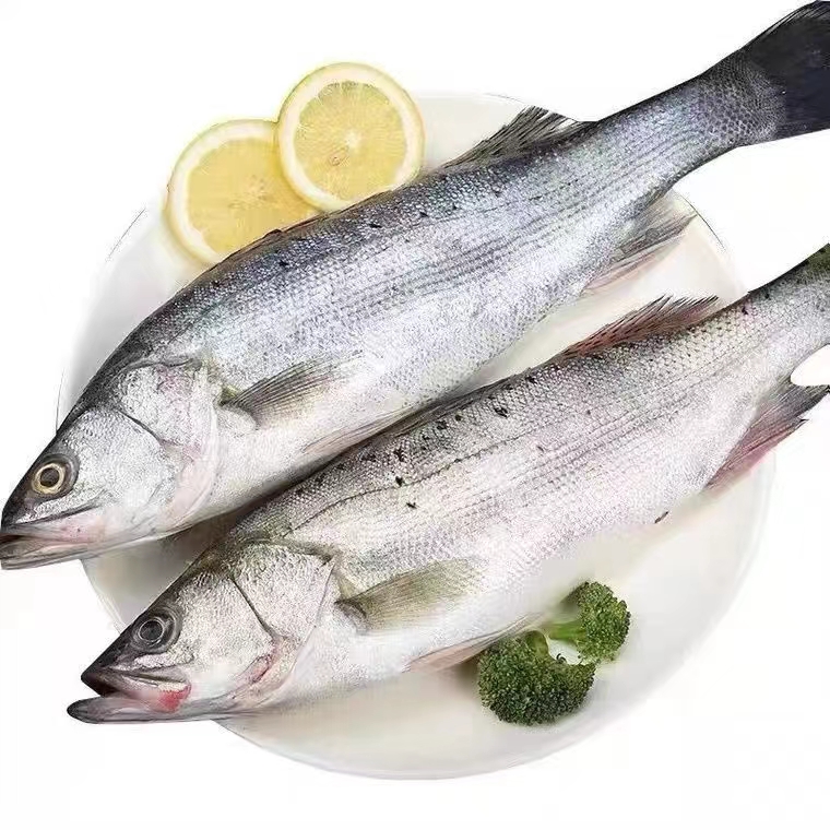 冷冻顺【丰包邮】海鲈鱼新鲜海鱼鲜活深海鱼1100g*2条