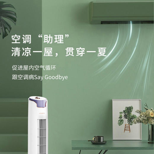 【分仓直发包邮】创维塔扇Q713 商品图4