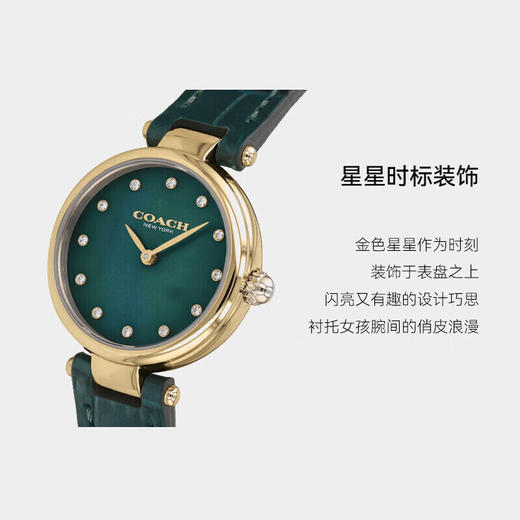 COACH蔻驰带钻小绿表 商品图8
