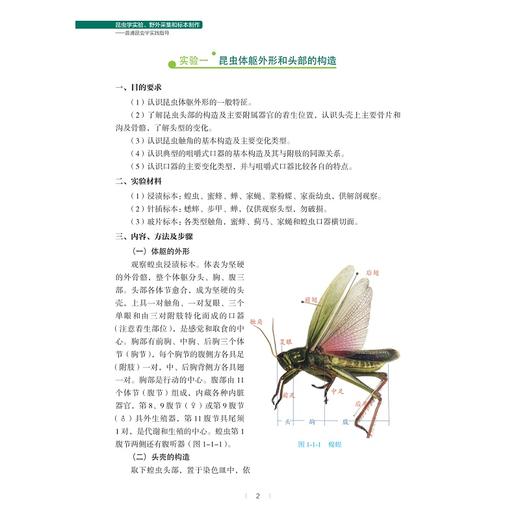 昆虫学实验、野外采集和标本制作——普通昆虫学实践指导/高等院校农业与生物技术实验实训系列规划教材/张传溪/浙江大学出版社 商品图4
