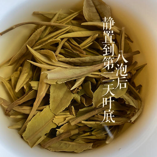 白茶丨小城之春 2022年 生态纯手工白牡丹 50克 商品图6