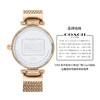 COACH蔻驰帕克编织表金 商品缩略图5