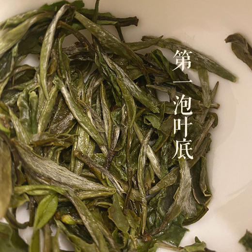 白茶丨小城之春 2022年 生态纯手工白牡丹 50克 商品图3