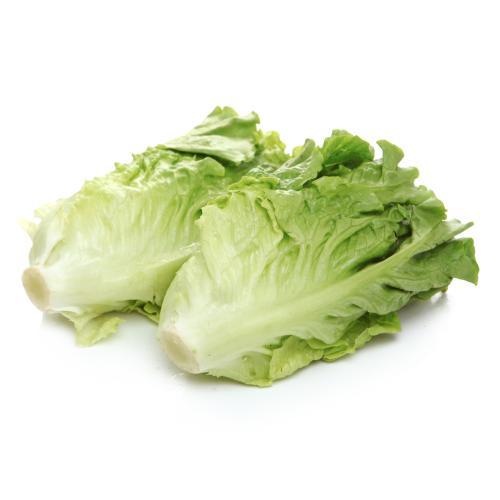 圆生菜  500g 商品图0