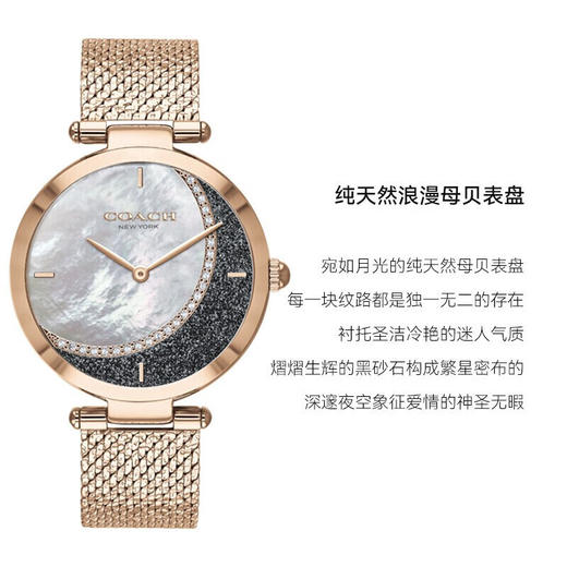 COACH蔻驰帕克水晶月亮表金 商品图0