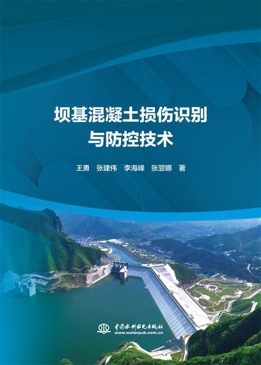 坝基混凝土损伤识别与防控技术 商品图0