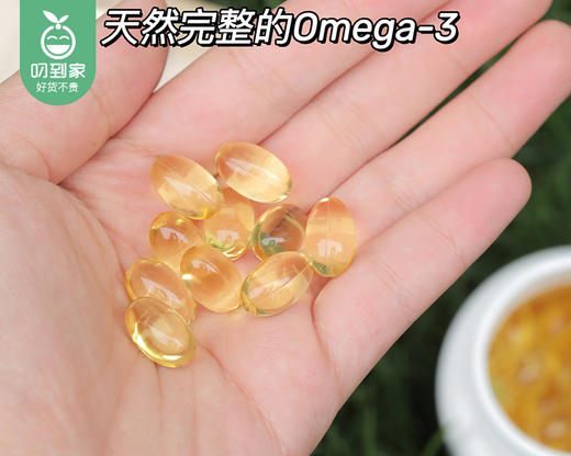 【叼健康】【快递发货】dpa帝比爱金牌海豹油软胶囊/1瓶（500mg*60粒）生产日期：24年2月 商品图3