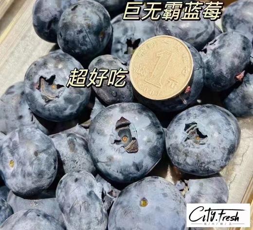 【BF】24#宝石蓝莓王300g 商品图1