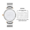 COACH蔻驰帕克编织表银 商品缩略图4