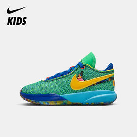 Nike LeBron XX SE (GS) 大童篮球童鞋 DV3021
