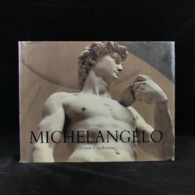米开朗基罗 数百幅插图 精装大16开
