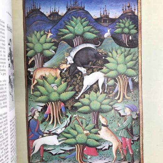 小狗的生活，历史与魔力 数百幅插图 精装16开 商品图6