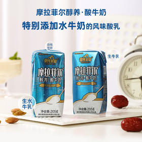 皇氏·摩拉菲尔醇养酸牛奶 205g*12 添加水牛奶 口感丝滑
