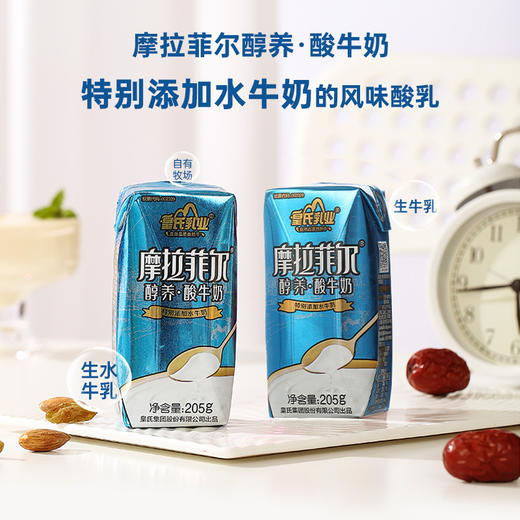 皇氏·摩拉菲尔醇养酸牛奶 205g*12 添加水牛奶 口感丝滑 商品图0