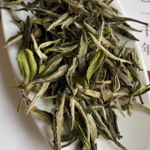 白茶丨小城之春 2022年 生态纯手工白牡丹 50克 商品图2