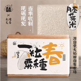 黄冈黄梅 袁夫稻田 胚芽米