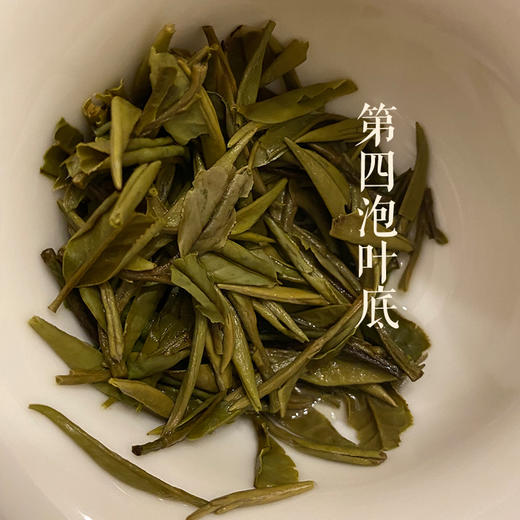 白茶丨小城之春 2022年 生态纯手工白牡丹 50克 商品图5