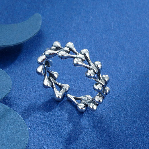 子佩集S925银【森尧】戒指【RSR600】2304 商品图2