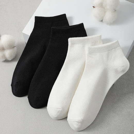 【莎耐特】23款情侣四季短袜10双装 商品图2