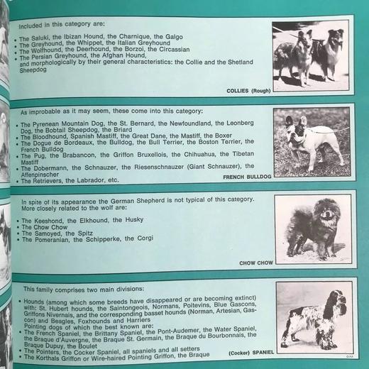 小狗的生活，历史与魔力 数百幅插图 精装16开 商品图9