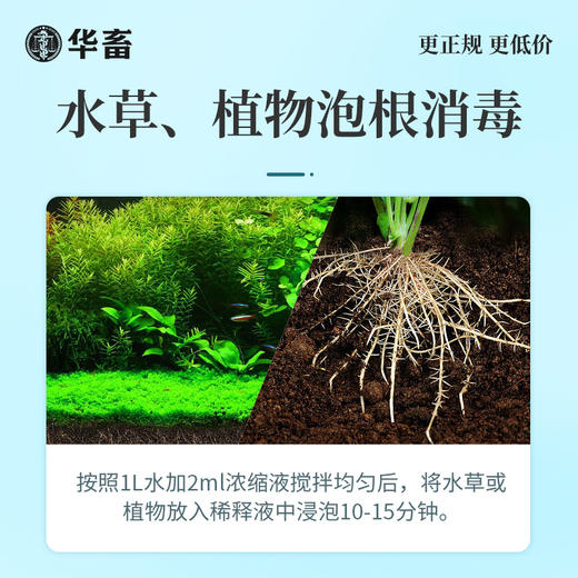 华畜高锰酸钾养鱼用消毒液鱼缸鱼塘杀菌药粉水产养殖高猛酸钾溶液 商品图4