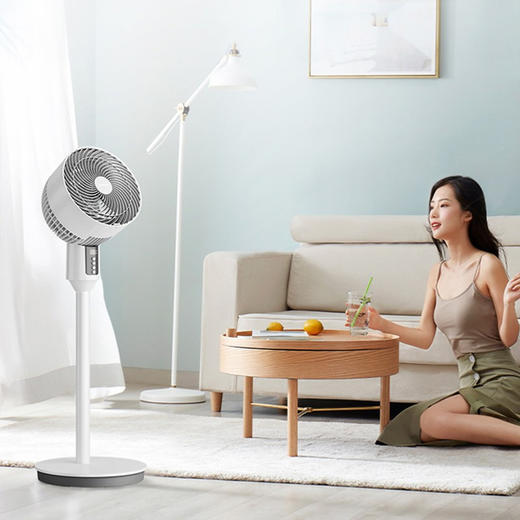 【分仓直发包邮】艾美特空气循环扇FA18-RD36 商品图2