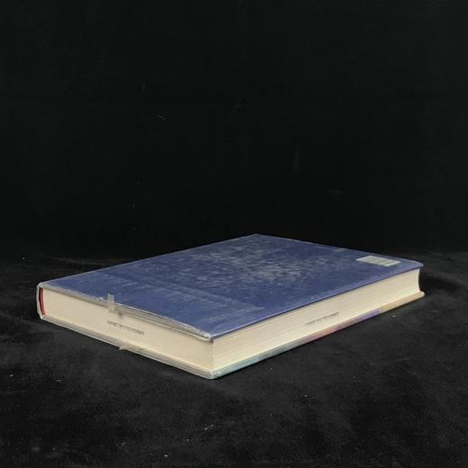 二十世纪艺术杰作图集 595幅插图（176幅彩色） 精装大16开 商品图2