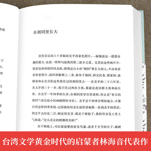 《林海音文集 全5册》城南旧事  春风 台北行 晓云 在胡同里长大 商品图3
