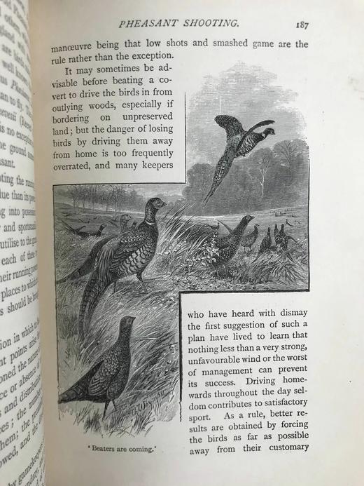 1887年 狩猎指南 约百幅版画插图 漆布精装32开 商品图9