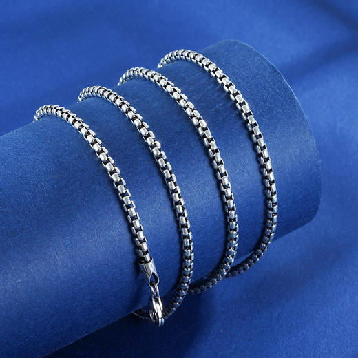 子佩集S925银【蛇骨】项链【YFXL024-28】搭配链2304 商品图4