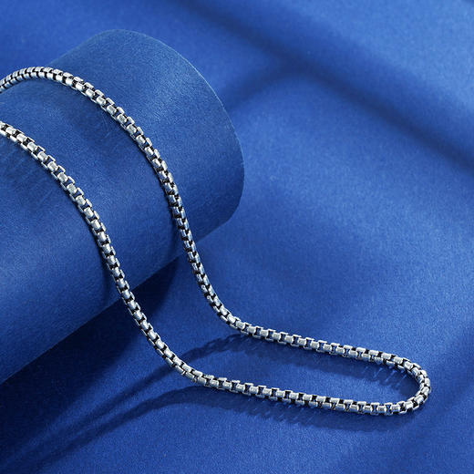 子佩集S925银【蛇骨】项链【YFXL024-28】搭配链2304 商品图3