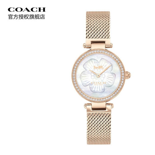 COACH蔻驰帕克编织表金 商品图0