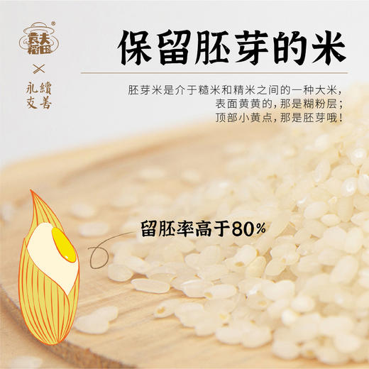 黄冈黄梅 袁夫稻田 胚芽米 商品图1