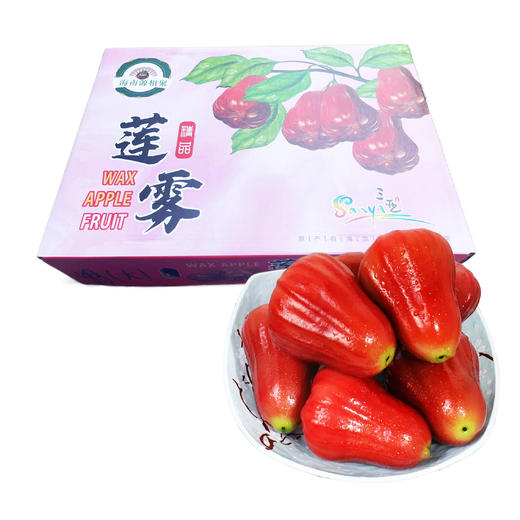 海南黑金刚莲雾（礼盒装） 商品图0