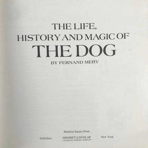 小狗的生活，历史与魔力 数百幅插图 精装16开 商品图3