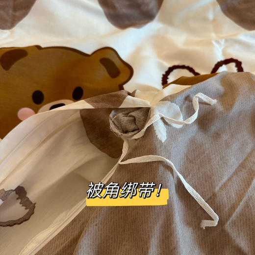 AA 021304高支高密全棉印花AB版双面设计高品质四件套 商品图4