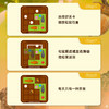比利时 Smart Games Squirrels Go Nuts 疯狂松鼠 6+ SG 425 商品缩略图3