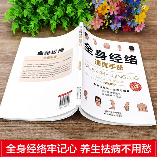 全身经络速查手册 商品图2