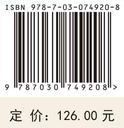 国际产业转移：测度、演变及趋势/高翔 杨翠红 商品图2