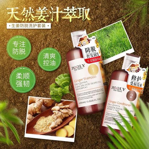 心选丨卓蓝雅  生姜防脱洗发水 / 护发素 商品图2