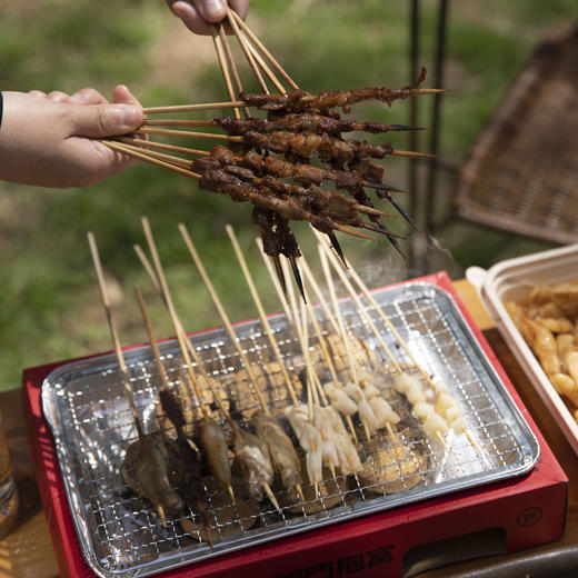 户外烧烤套装·一次性烧烤炉&盐池滩羊肉串组合  烧烤自由 商品图2