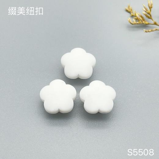 S5508(整包购买) 商品图0